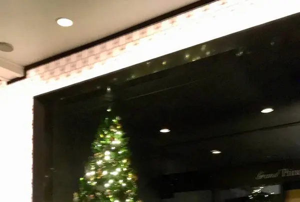 グランドプリンスホテル新高輪の写真・動画_image_240668