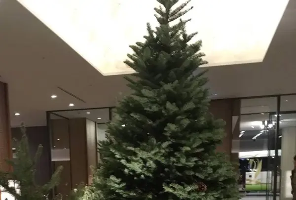 グランドプリンスホテル 高輪の写真・動画_image_240669