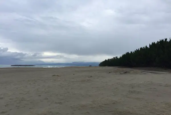 岩瀬浜駅の写真・動画_image_240683