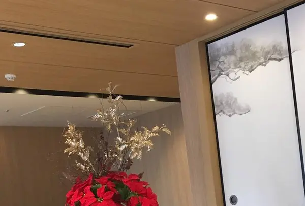 ザ・プリンス さくらタワー東京の写真・動画_image_240740