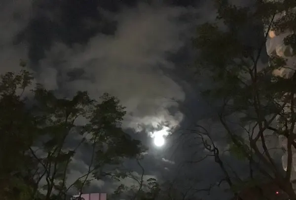 グランドプリンスホテル 高輪の写真・動画_image_240761