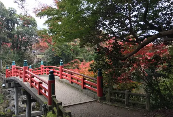 高岡大仏の写真・動画_image_240835