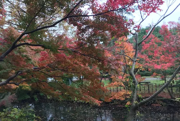 高岡大仏の写真・動画_image_240836