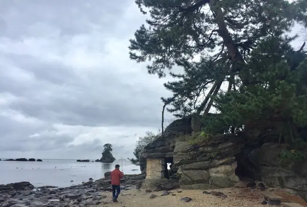 国定公園 雨晴海岸の写真・動画_image_240840