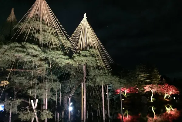 兼六園の写真・動画_image_240864