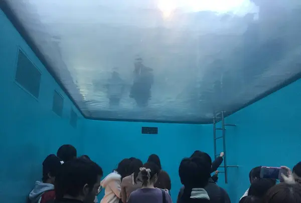 金沢21世紀美術館の写真・動画_image_240875