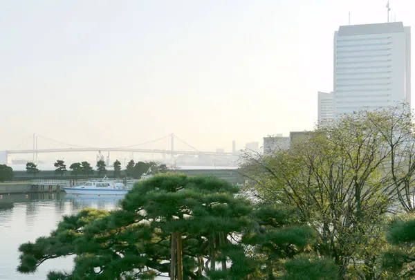 浜離宮恩賜庭園の写真・動画_image_240892