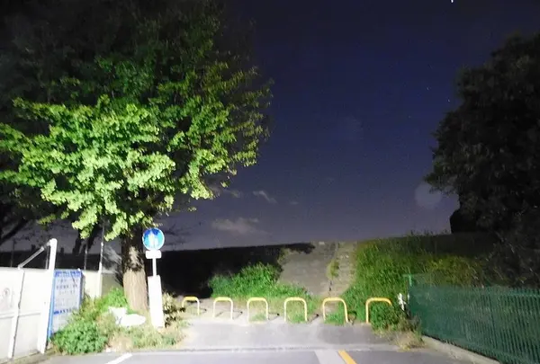 多摩川六郷橋緑地の写真・動画_image_240953