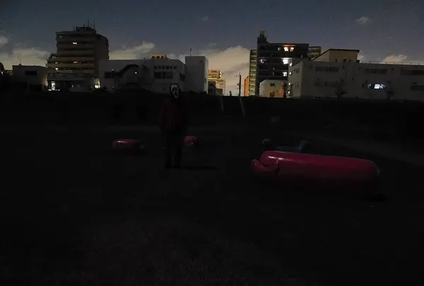 多摩川六郷橋緑地の写真・動画_image_240955