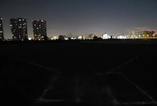 多摩川六郷橋緑地の写真・動画_image_240956