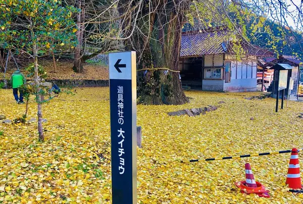 迦具神社の写真・動画_image_240988