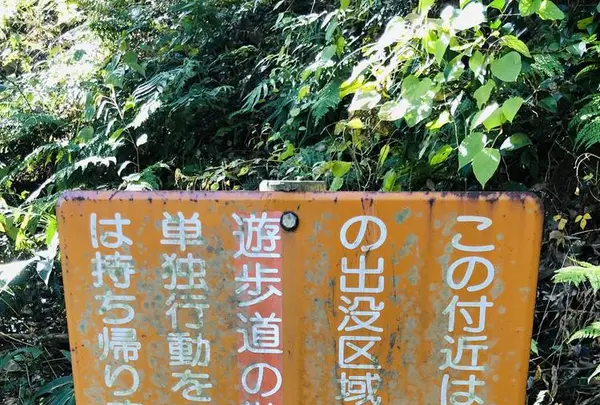 龍頭が滝の写真・動画_image_240990