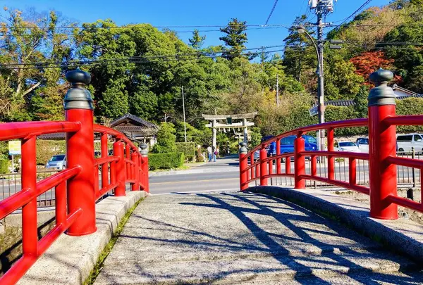 玉作湯神社の写真・動画_image_241003