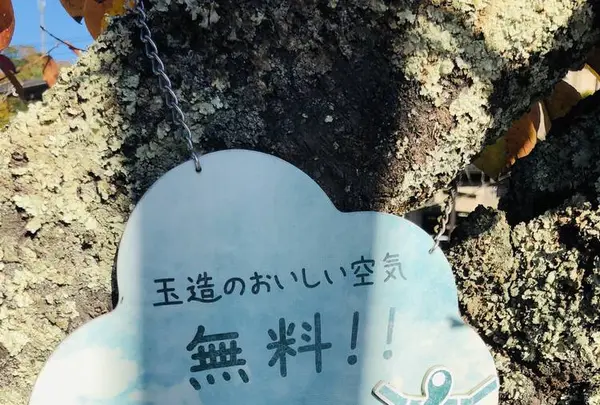 玉作湯神社の写真・動画_image_241009