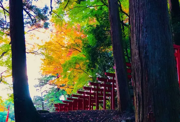 瑞光山 清水寺の写真・動画_image_241010