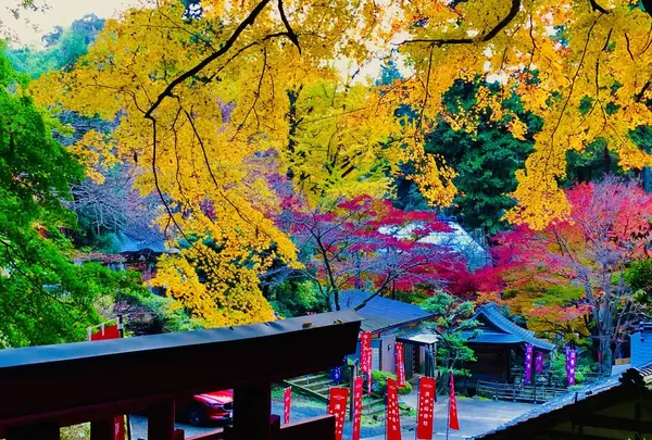 瑞光山 清水寺の写真・動画_image_241011