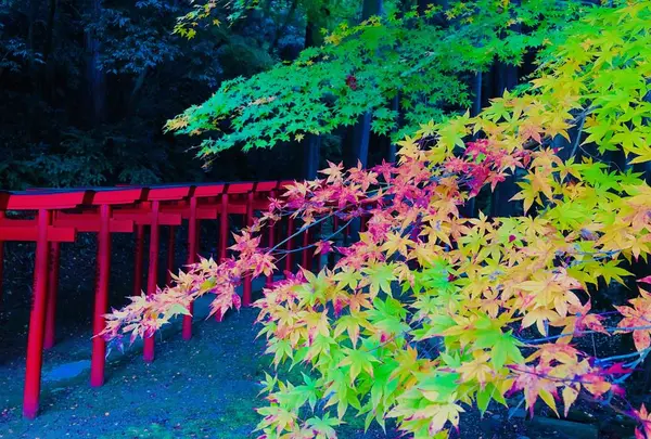 瑞光山 清水寺の写真・動画_image_241012