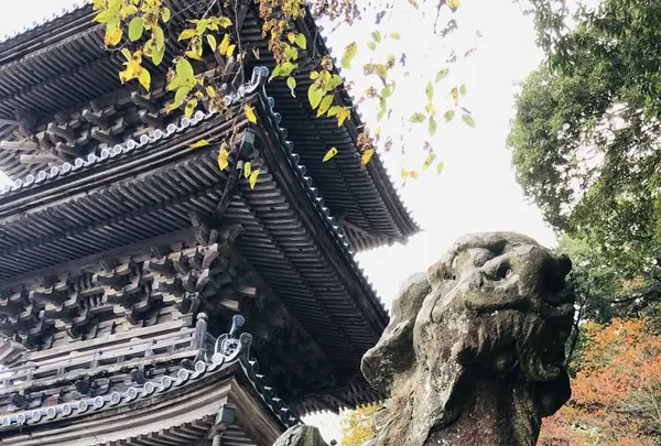 瑞光山 清水寺の写真・動画_image_241013