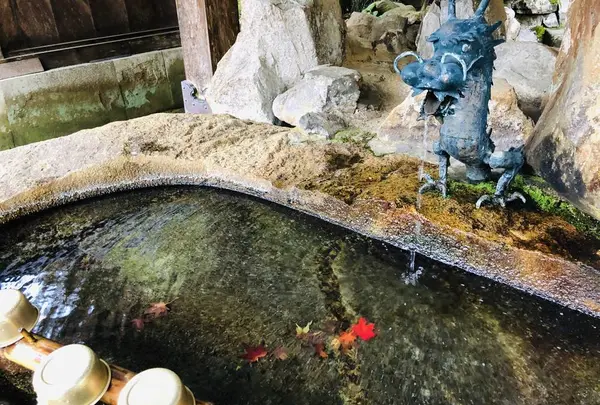 瑞光山 清水寺の写真・動画_image_241015