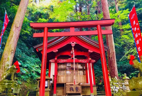 瑞光山 清水寺の写真・動画_image_241017