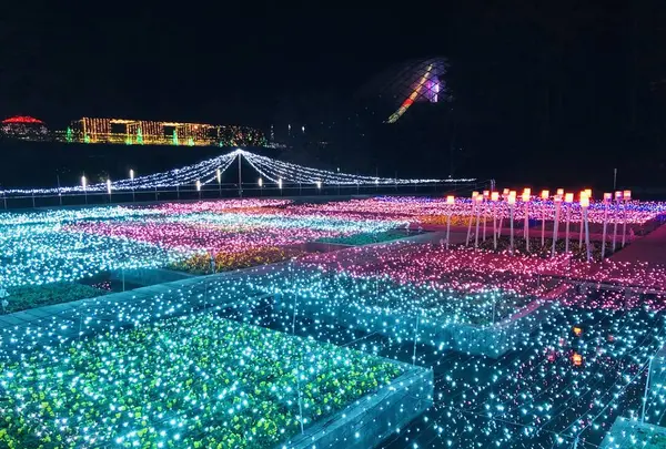 鳥取県立フラワーパークとっとり花回廊の写真・動画_image_241031