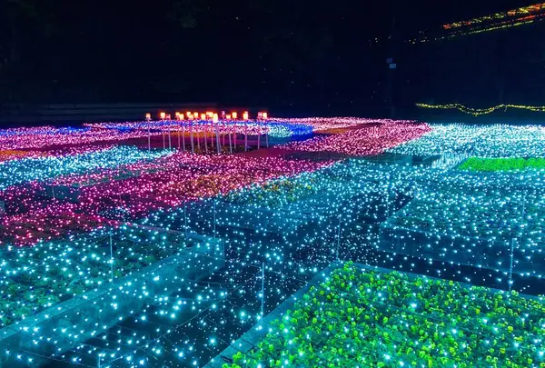 鳥取県立フラワーパークとっとり花回廊の写真・動画_image_241033