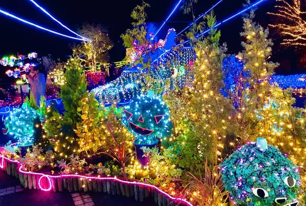 鳥取県立フラワーパークとっとり花回廊の写真・動画_image_241035