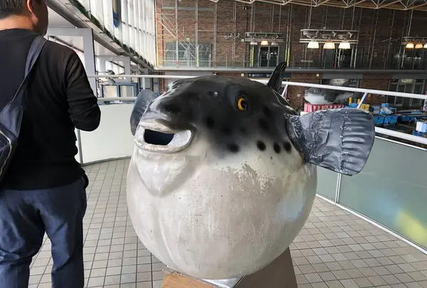 唐戸市場の写真・動画_image_241040