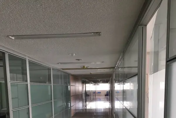 華飾市場(みはしグループショールーム)の写真・動画_image_241113