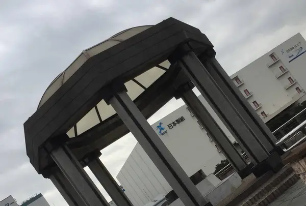 水の広場公園の写真・動画_image_241116