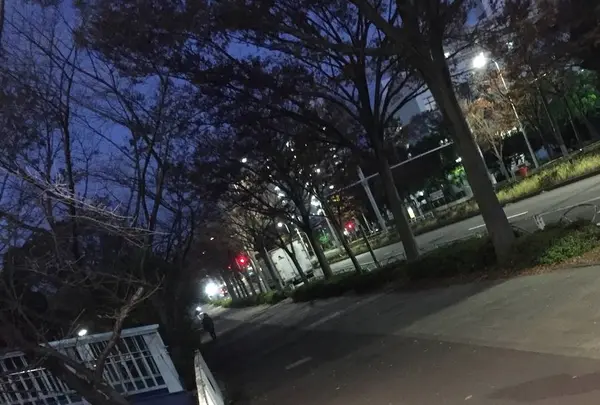 新左近川親水公園の写真・動画_image_241118