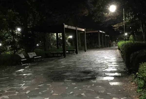 新長島川親水公園の写真・動画_image_241119