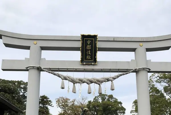 田村神社の写真・動画_image_241153