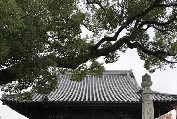 一宮寺の写真・動画_image_241154