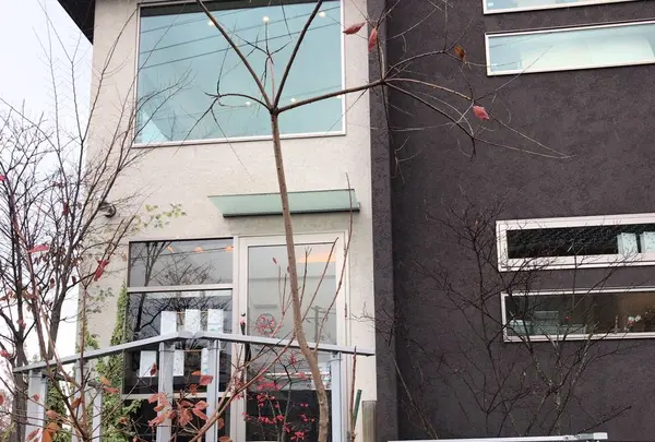 Patisserie MATILDAの写真・動画_image_241209