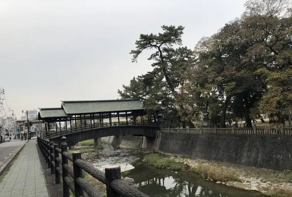 琴平花壇の写真・動画_image_241304