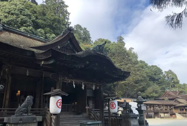 金刀比羅宮（こんぴらさん）の写真・動画_image_241320
