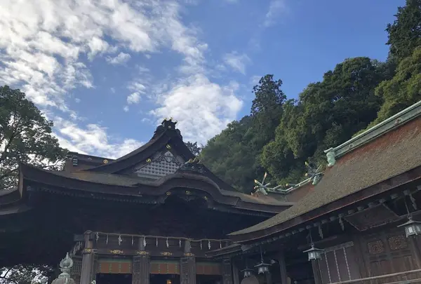 金刀比羅宮（こんぴらさん）の写真・動画_image_241327