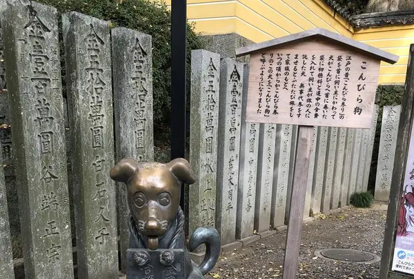 金刀比羅宮（こんぴらさん）の写真・動画_image_241331