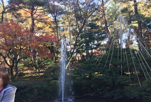 兼六園の写真・動画_image_241371