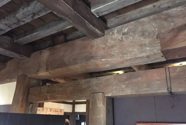 丸岡城の写真・動画_image_241374