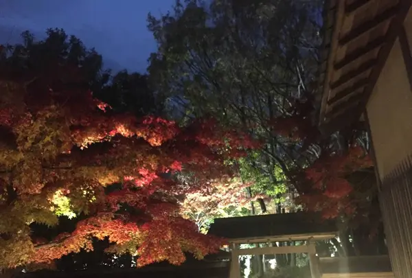 養浩館庭園の写真・動画_image_241398