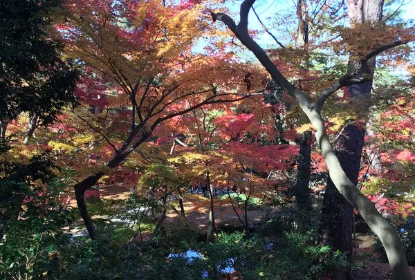 JR福井駅の写真・動画_image_241400