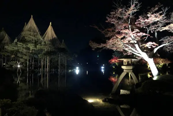 兼六園の写真・動画_image_241595