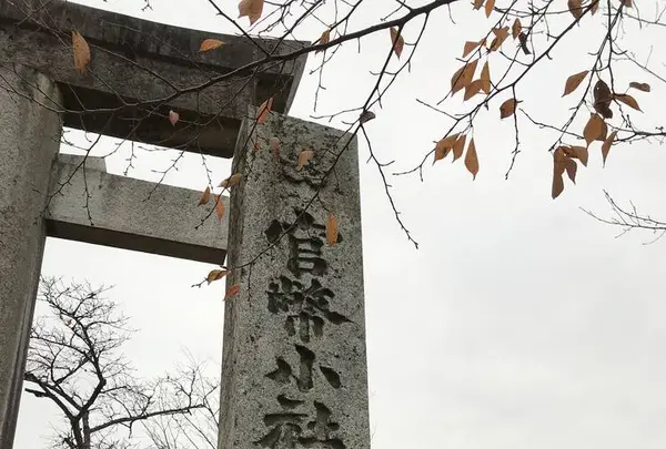 竈門神社の写真・動画_image_241774