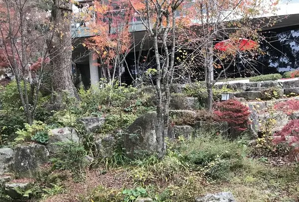 竈門神社の写真・動画_image_241775
