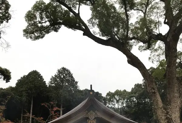 竈門神社の写真・動画_image_241777