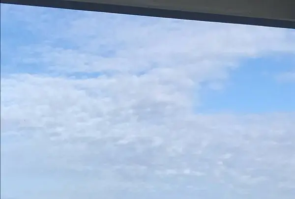 相島の写真・動画_image_241862
