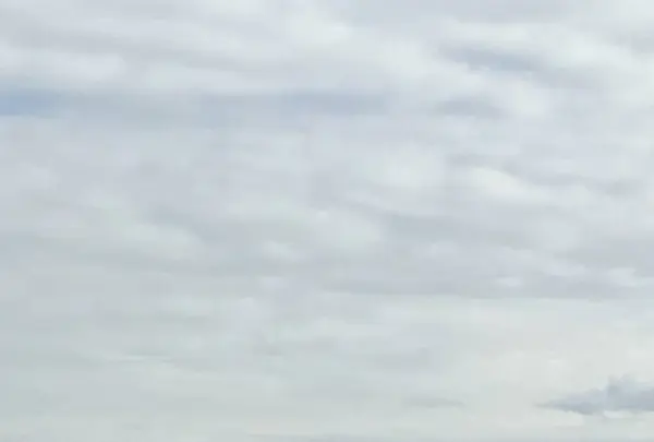 相島の写真・動画_image_241879