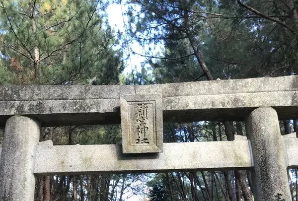新宮神社の写真・動画_image_241884